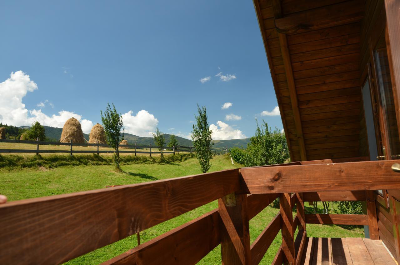 Cabana Denisa Arieşeni Extérieur photo